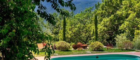 Alberca
