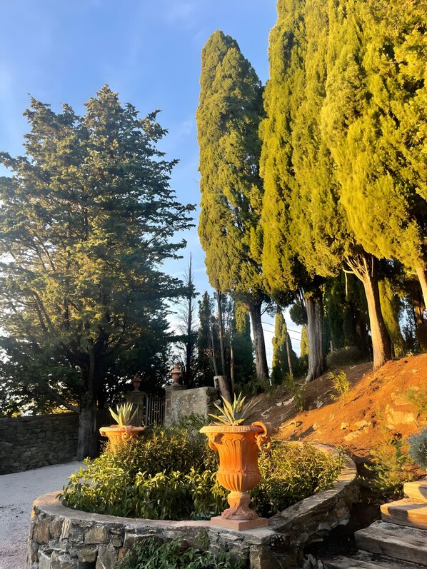 Parco della struttura