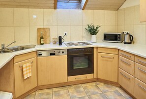 Mikrowelle, Ofen, Herdplatte, Geschirrspüler