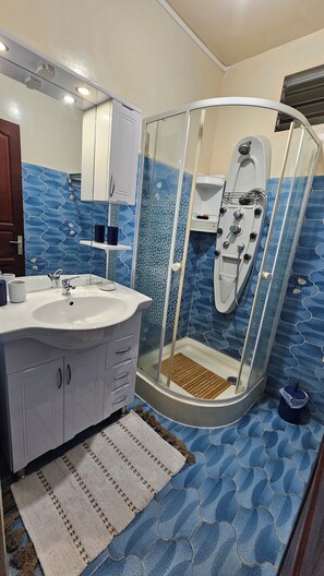 Shower, hair dryer, bidet, towels