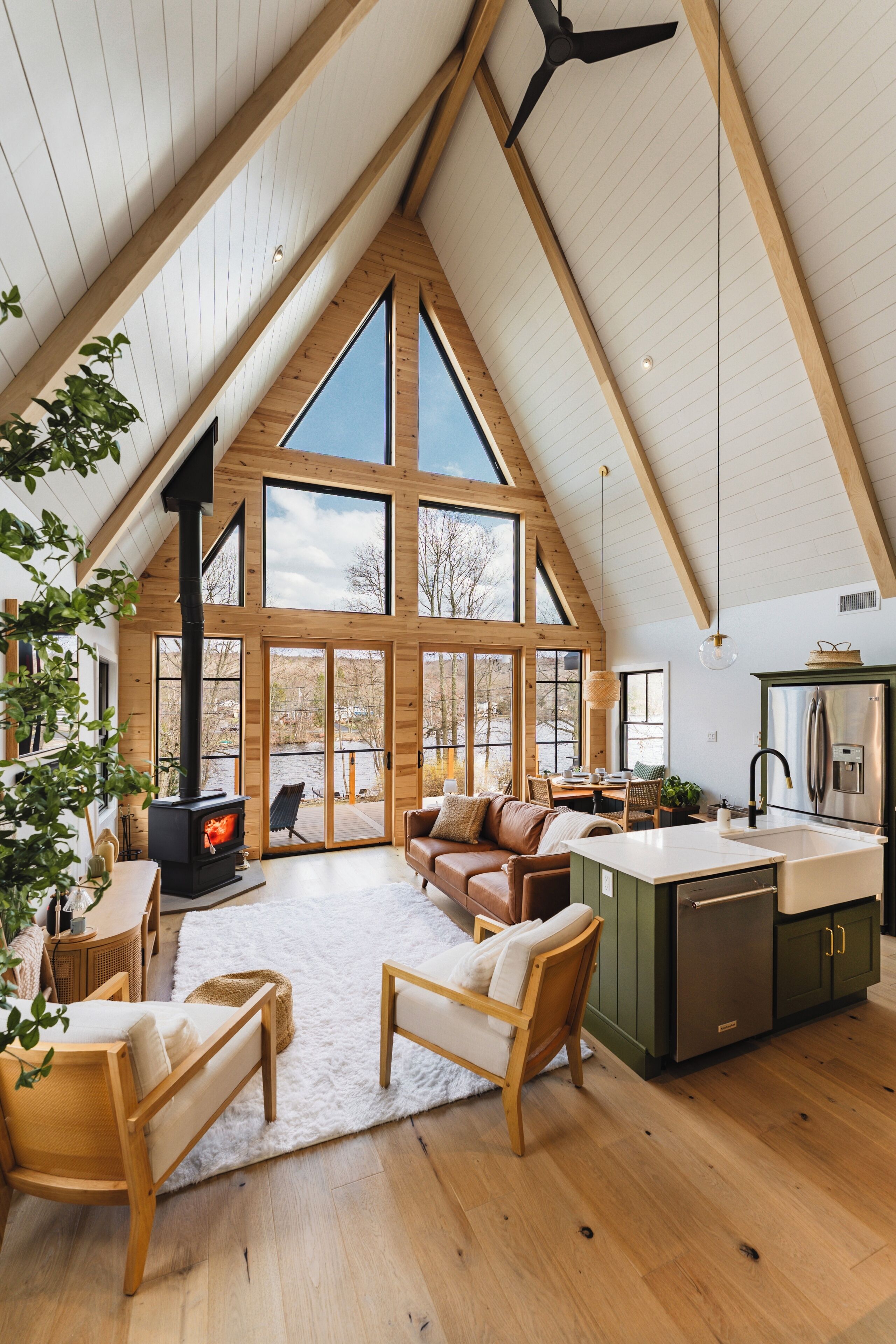 Smart TV, fireplace, books, music library