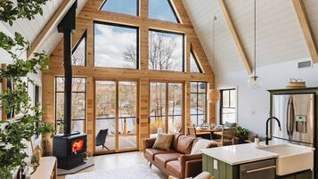 Smart TV, fireplace, books, music library