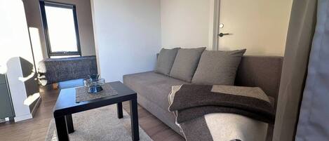 Apartamento, 1 habitación, fumadores, balcón | Zona de estar