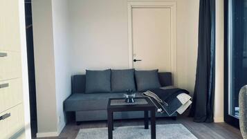 アパートメント 1 ベッドルーム 喫煙可 バルコニー | リビングルーム