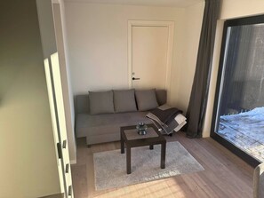Apartment, 1 Bedroom, Smoking, Balcony | Living room