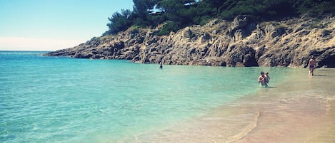Ranta