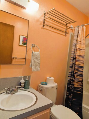 Hair dryer, towels, soap, toilet paper