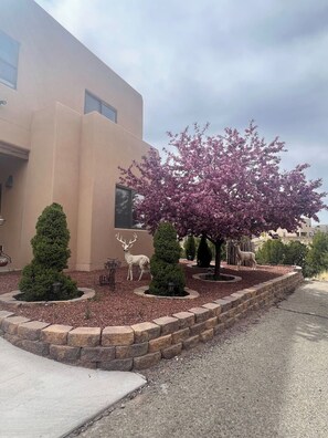 Overnatningsstedets område