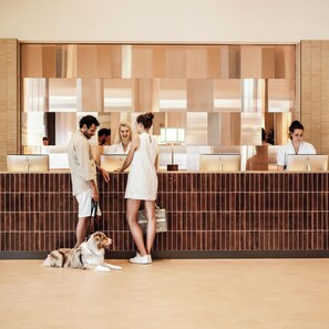 A reception area with a tiled wall, a reception desk, and a dog lying on the floor.