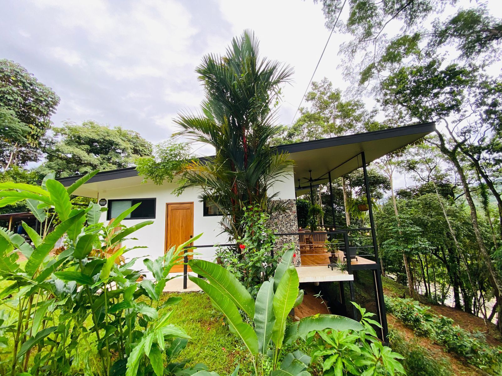 A modern house with a large patio area, surrounded by lush greenery and trees.