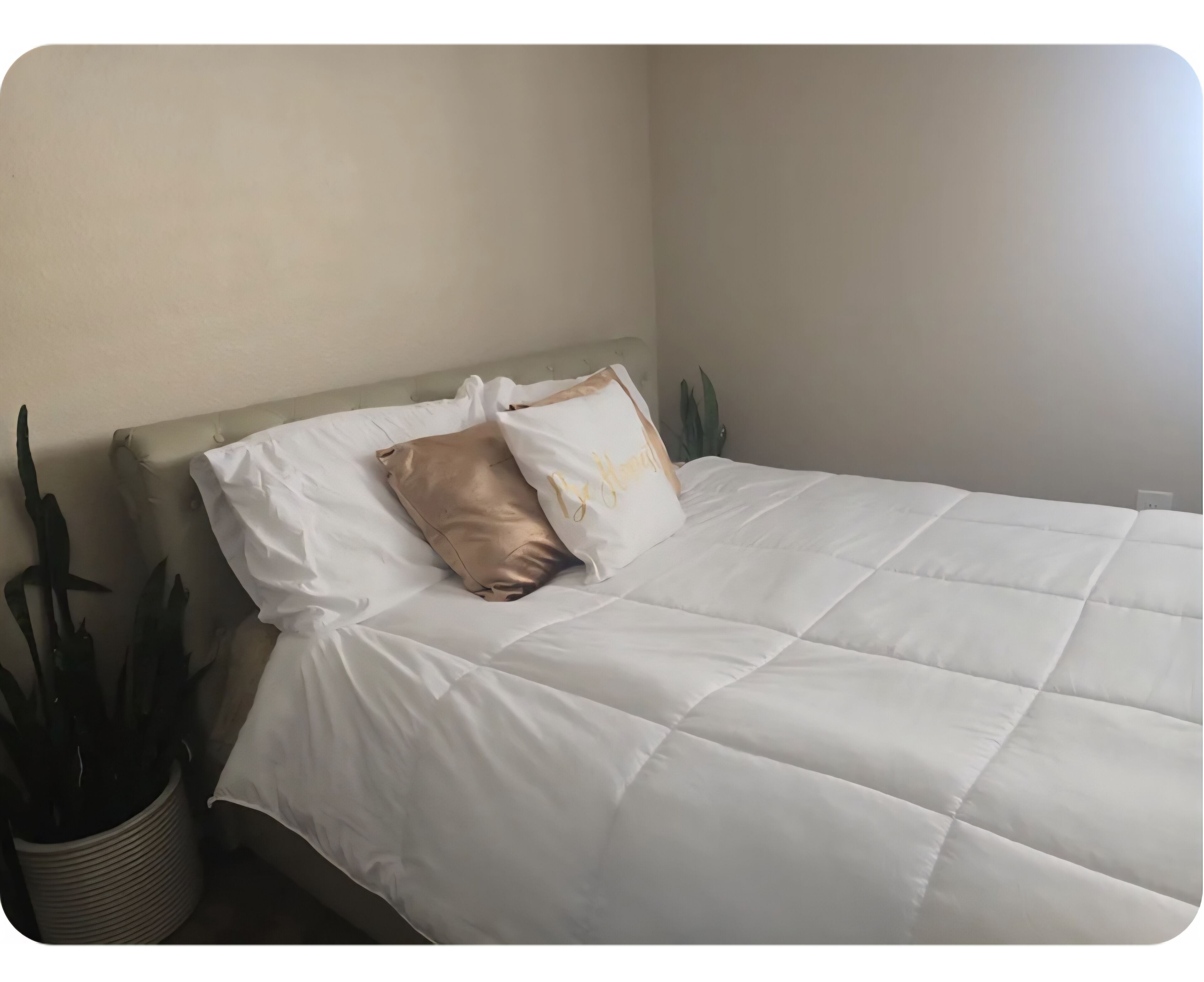 1 camera, ferro/asse da stiro, Wi-Fi, lenzuola