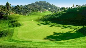 Um campo de golfe com um green bem cuidado, colinas suaves e uma área arborizada ao longe.