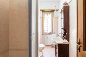 Shower, hair dryer, bidet, towels