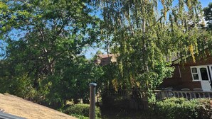 A residential area with a large tree, a stone wall, and a house with a visible front door.