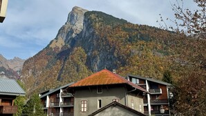 A mountain with a prominent peak, surrounded by autumn-colored trees and residential buildings with balconies.