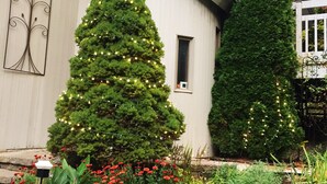 Un bâtiment avec un mur en pierre, un grand conifère et un arbre plus petit décoré de guirlandes lumineuses.