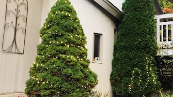 Terrain de l’hébergement