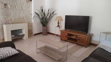 TV, fireplace, books