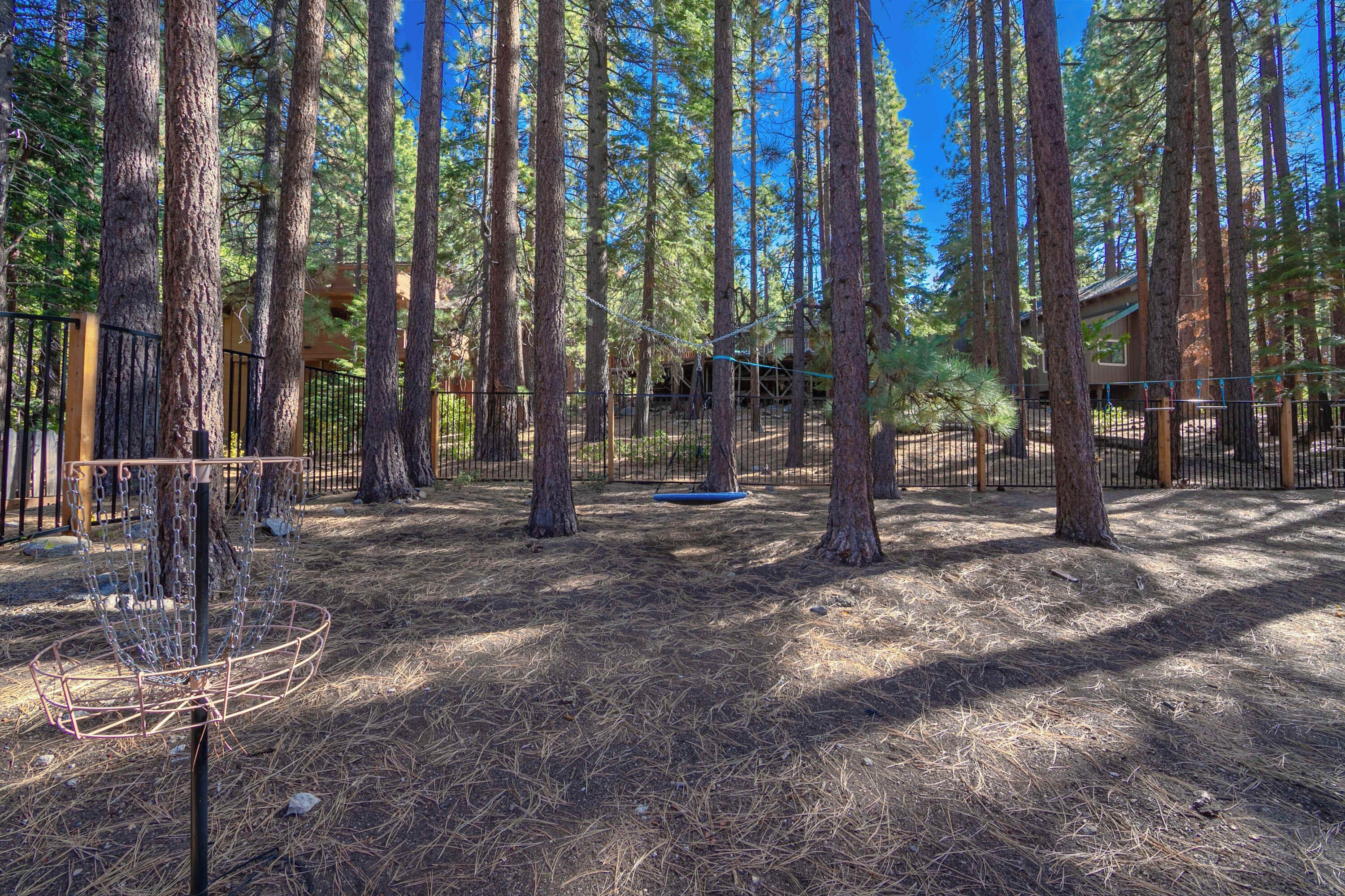 A disc golf course surrounded by tall pine trees, with a metal fence and a building in the background.