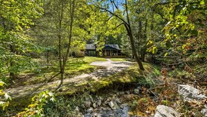 A cabin surrounded by a forest with a clear path leading to it.