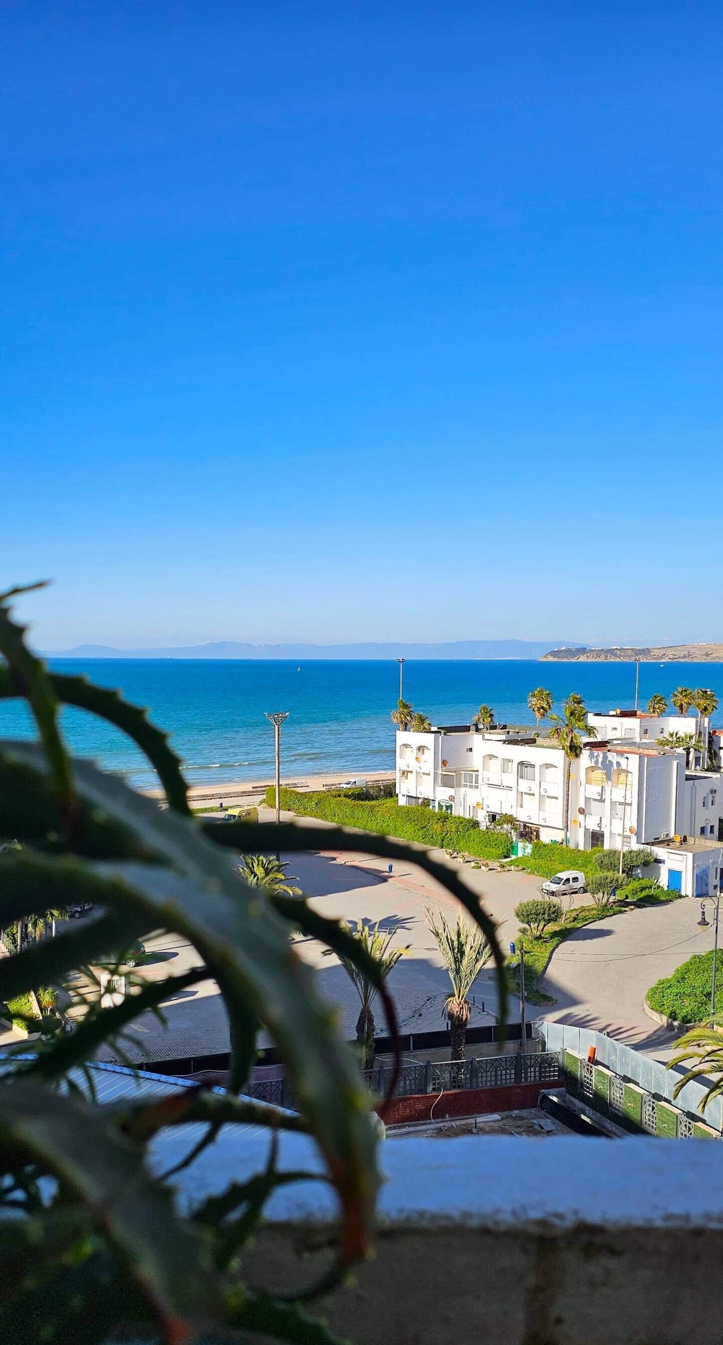 Vista costera con cielo azul despejado, una playa y un edificio con estacionamiento y palmeras.
