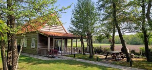 تناول الطعام بالخارج