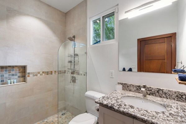 A bathroom with a glass-enclosed shower, a toilet, a sink with a granite countertop, and a wooden door.
