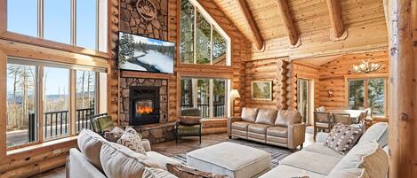 TV connectée, cheminée, jeux vidéo, livres