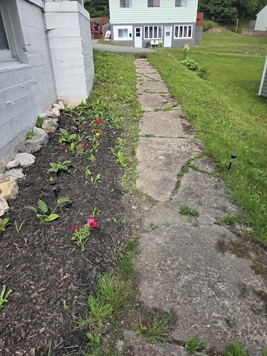 Small cozy basement apartment