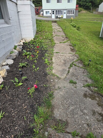 Small cozy basement apartment