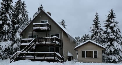 The Windsong Lodge #4