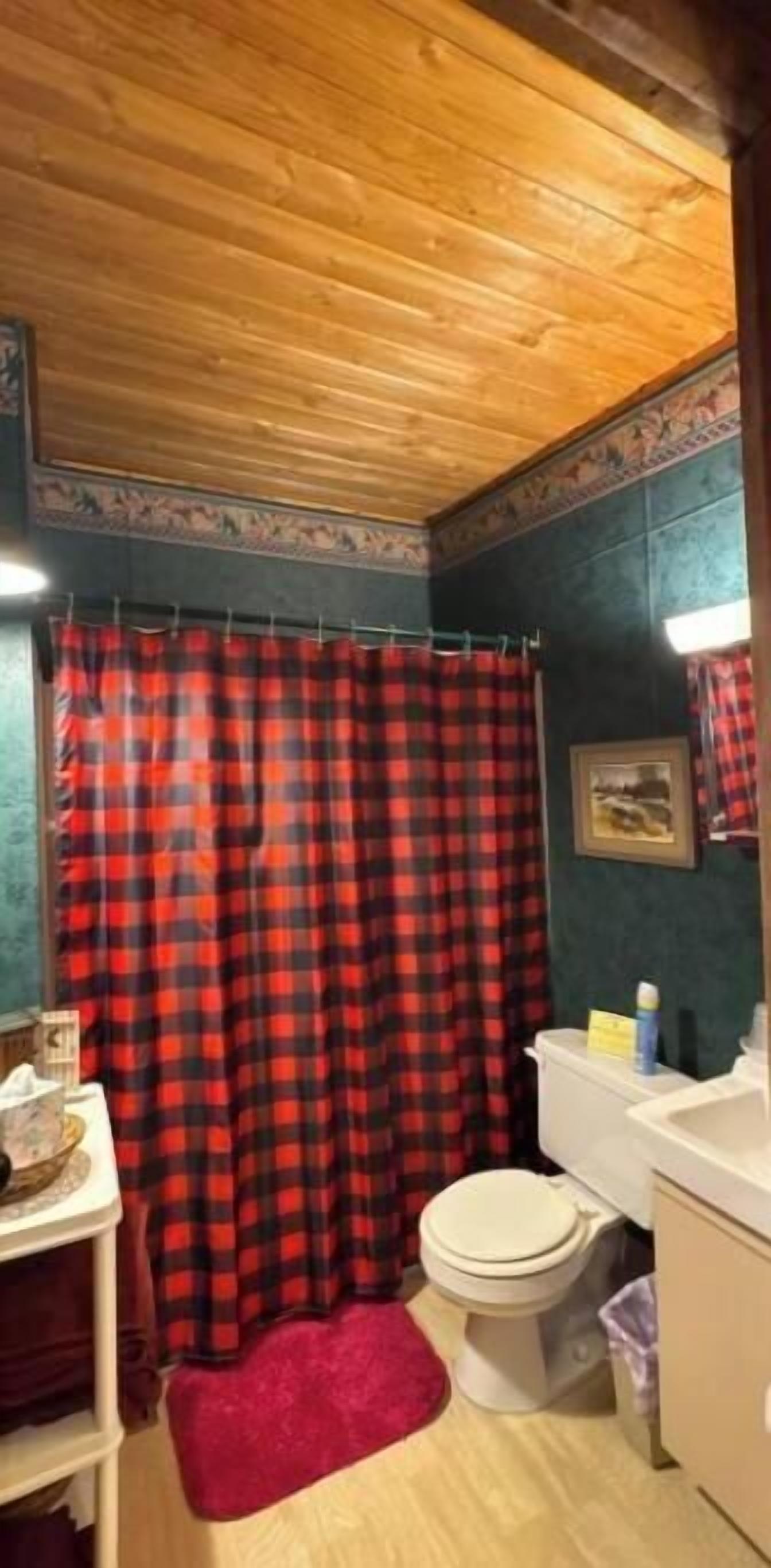 Secadora de cabello, toallas, jabón, shampoo 