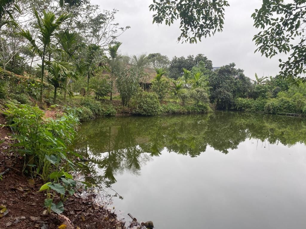 Lake view