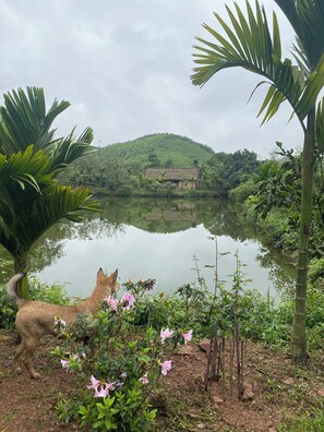 Outdoor pool - Hao Huc Village (Pho Yen)