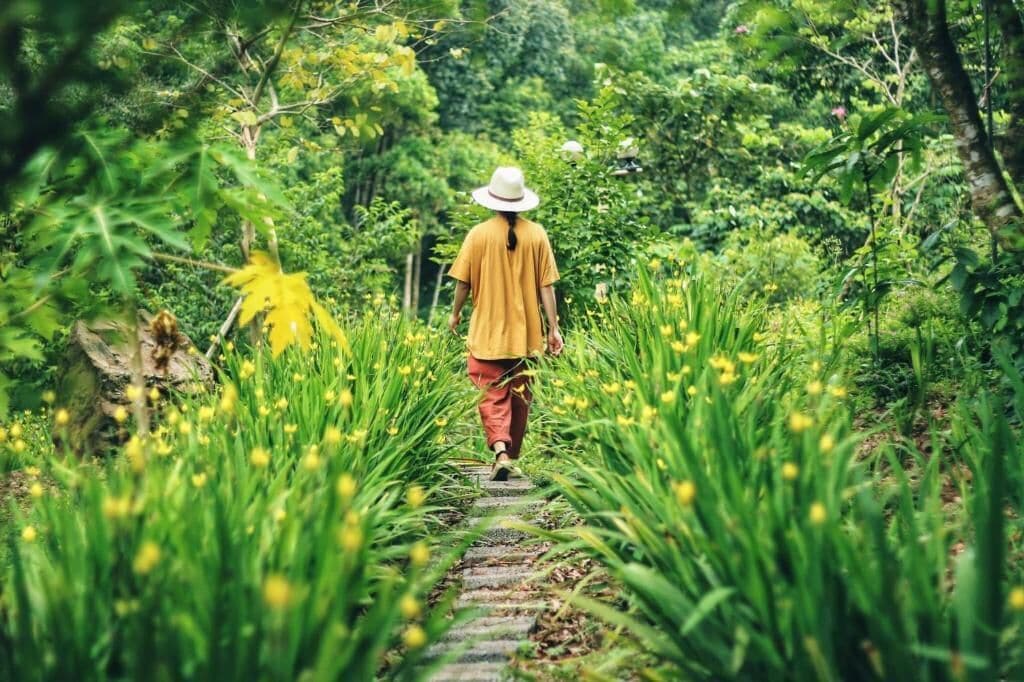 Pemandangan dari properti