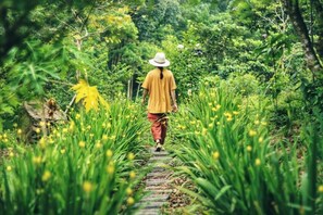 Vista desde la propiedad