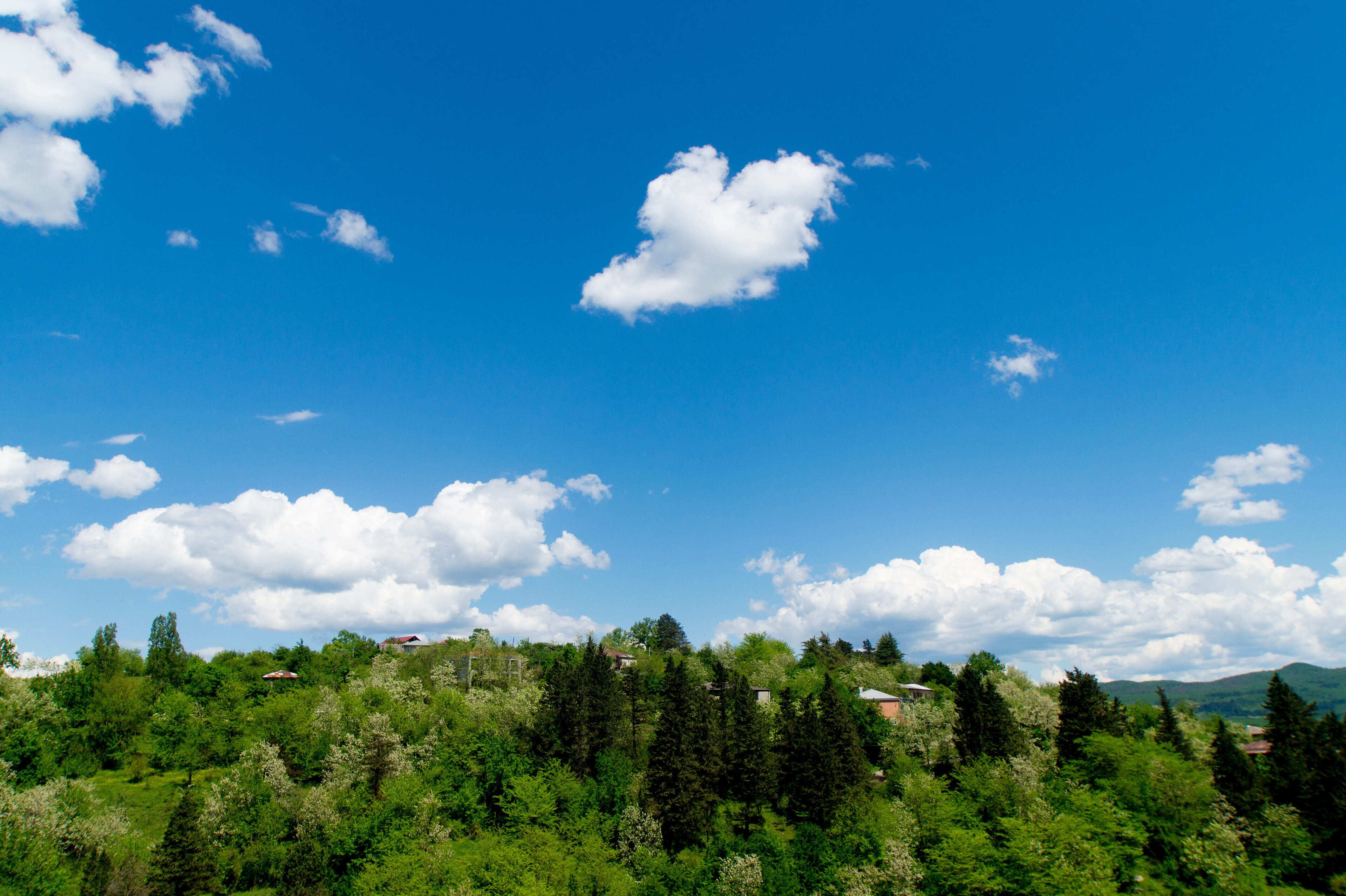 Premium bedding, pillow-top beds, desk, laptop workspace