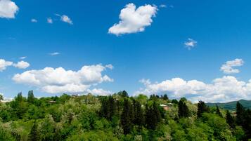 Premium bedding, pillowtop beds, desk, laptop workspace