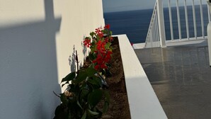 A balcony with a white railing overlooking the sea. - Raízes AL-House with stunning sea views in Povoação, São Miguel, Azores. (Açores)