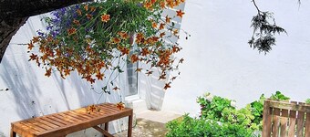Gorgeous 1-bedroom cottage in peaceful Lagoa