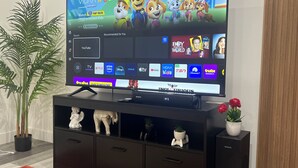 Een flatscreen televisie op een zwart entertainment meubel, met een plant en decoratieve objecten erop.
