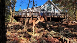 A cabin with a wooden deck, surrounded by rocks and trees. - Chickadee Retreat - Creekside Pocono Forest, fireplace, games, pool, lakes (Albrightsville)
