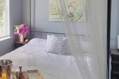 1 bedroom, iron/ironing board, WiFi, bed sheets. *Victoriana* - Entire upper King suite
@MicroLux