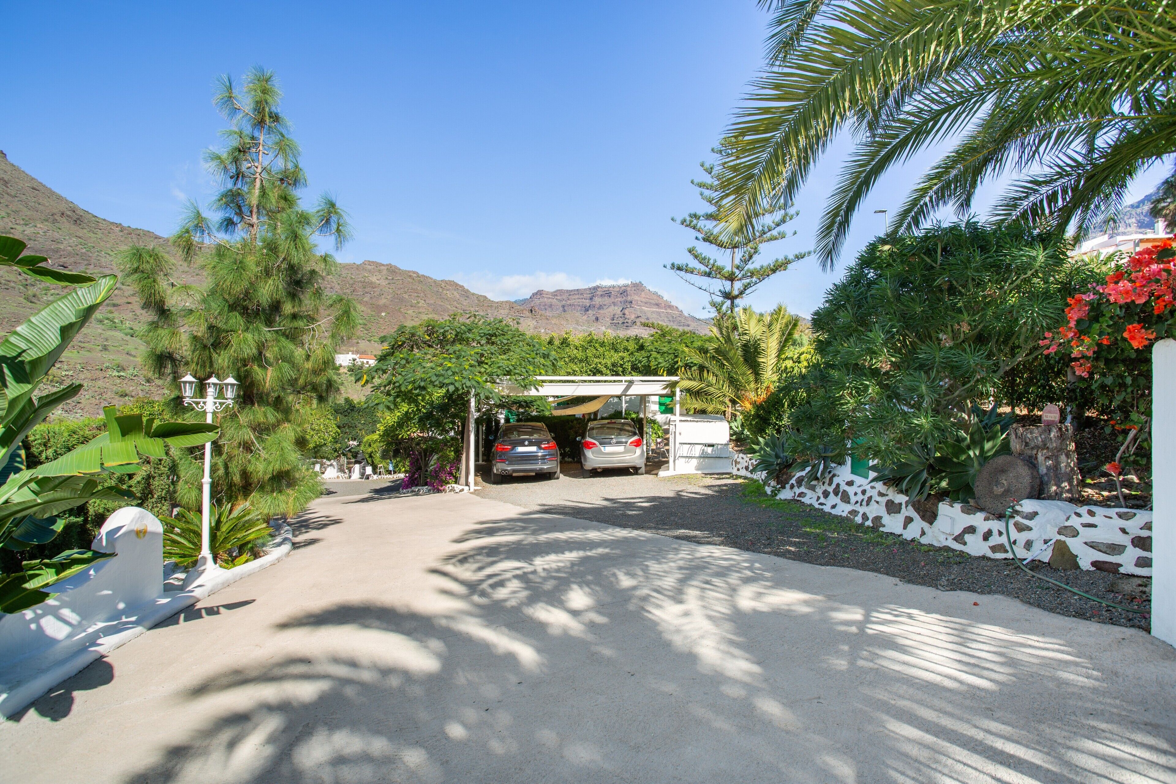 A driveway leading to a building with two parked cars, surrounded by lush greenery and a mountain in the background.