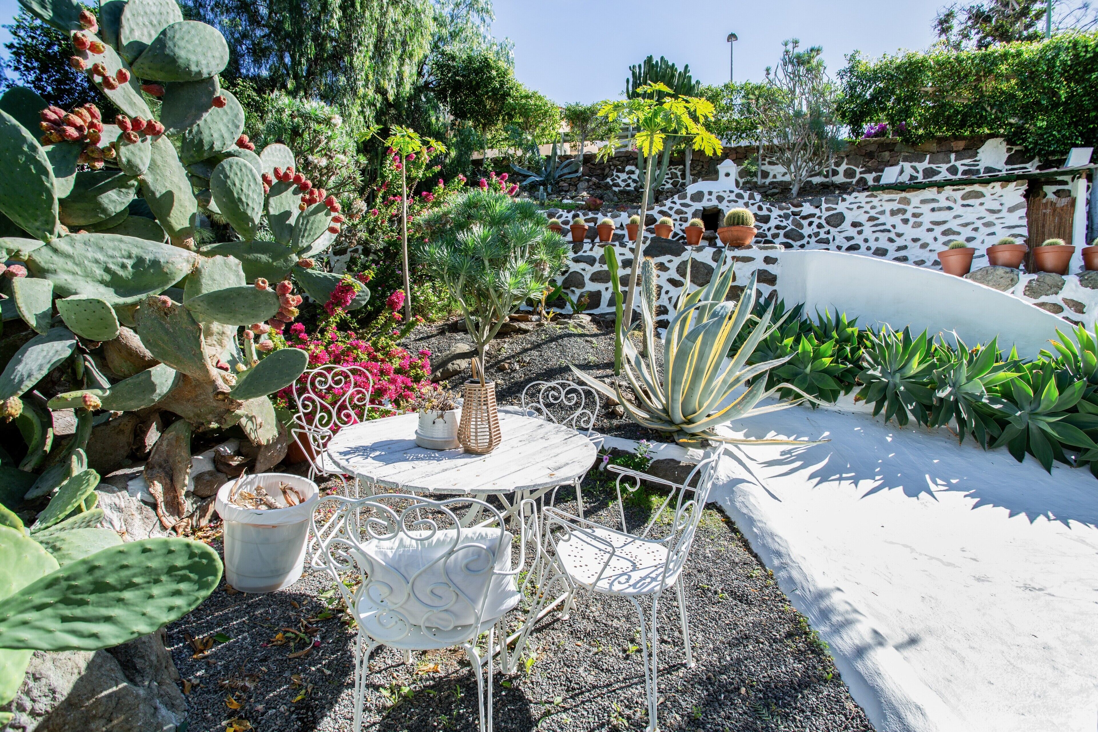 Um jardim com mesa e cadeiras brancas, rodeado por diversos cactos e plantas.