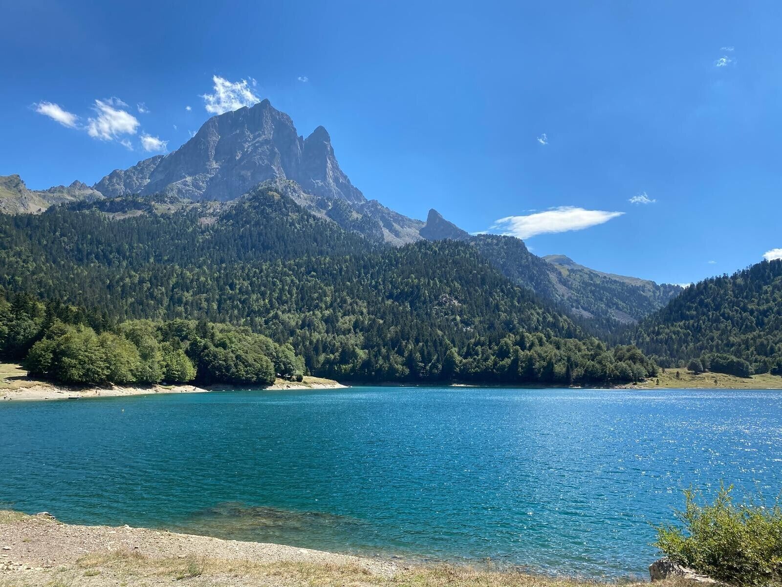 Un paisaje montañoso con un lago tranquilo, un bosque denso y un pico destacado.