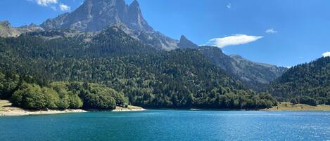 Un paisaje montañoso con un lago tranquilo, un bosque denso y un pico destacado.