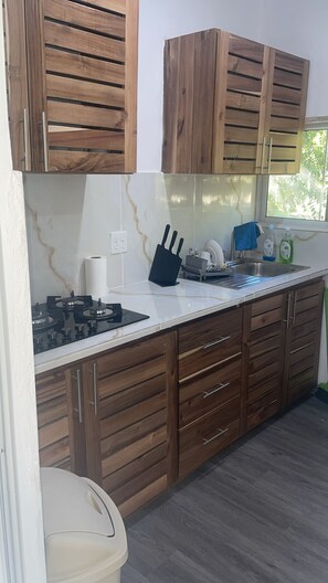 Kjøleskap, mikrobølgeovn, kokeplater og kaffetrakter/tekoker