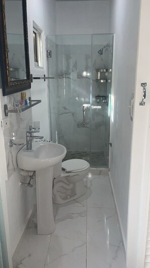 Secador de cabelo, toalhas de banho, sabonete, shampoo