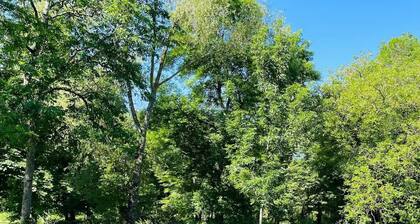 Tremendous 8-bedroom castle in Isle-sur-Marne